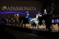 Apassionata_2014    150
